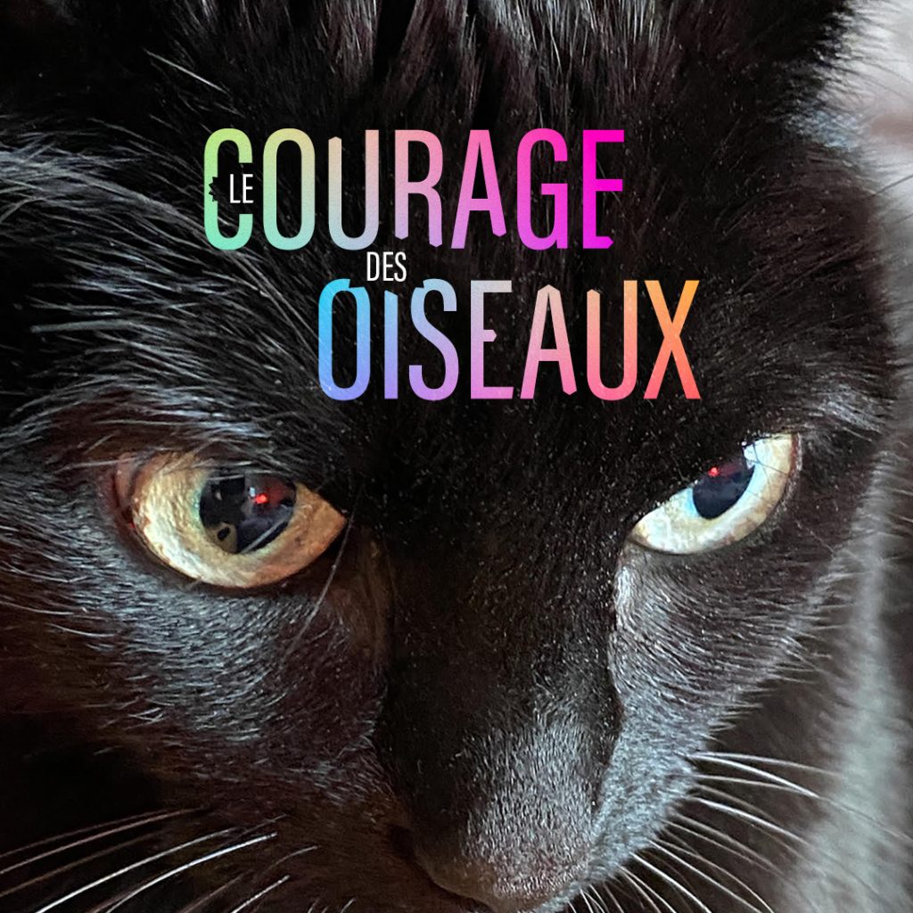 Le courage des oiseaux -Ingrid Luche