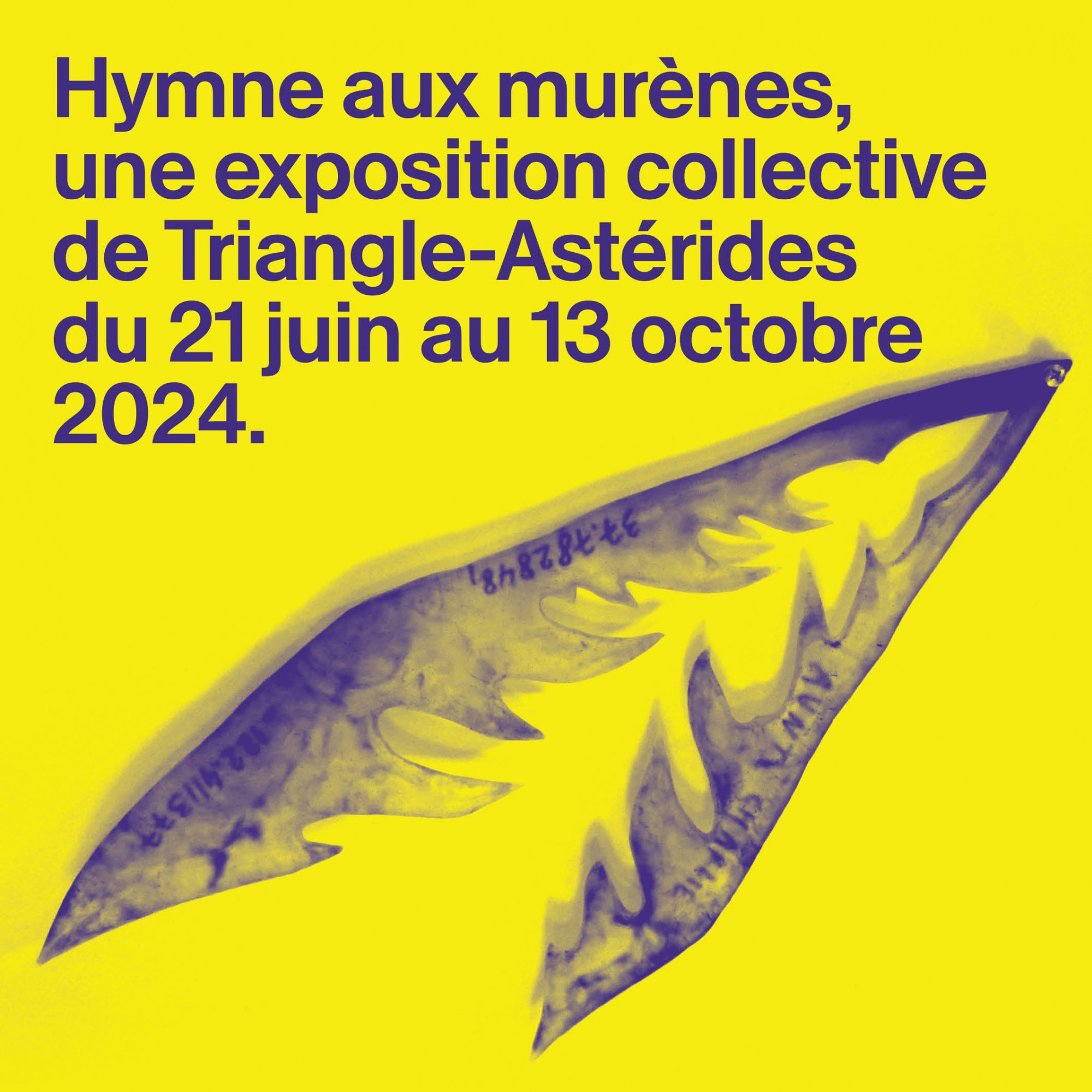 Affiche Hymne aux murènes